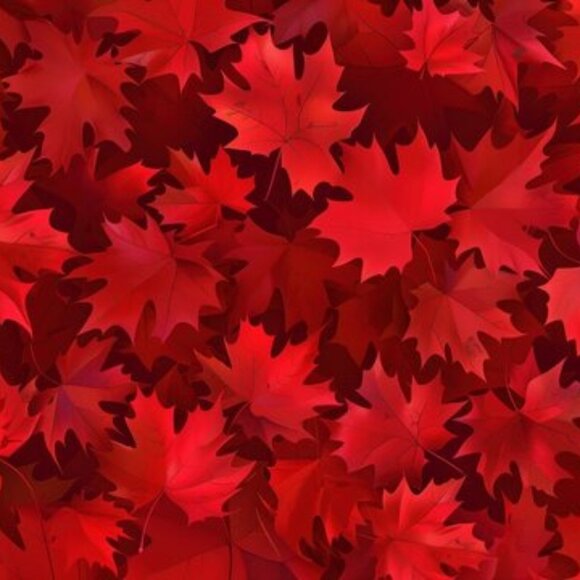 Meet your Posher - Picture 1 of 1